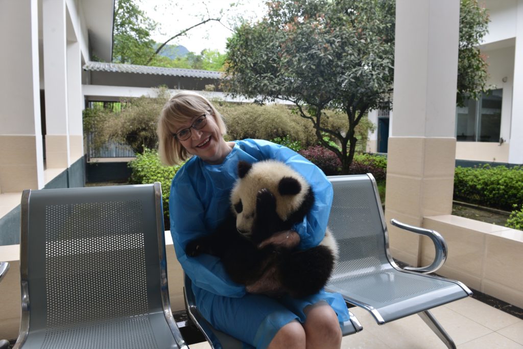 Suomen suurlähettiläs Marja Rislakki vieraili Sichuanissa Ya’an Bifengxia -pandakeskuksessa huhtikuussa 2016. Tuolloin keskustelun aiheena oli mahdollinen yhteistyö pandojen suojelussa. Kuva: Maria Kankaanpää.