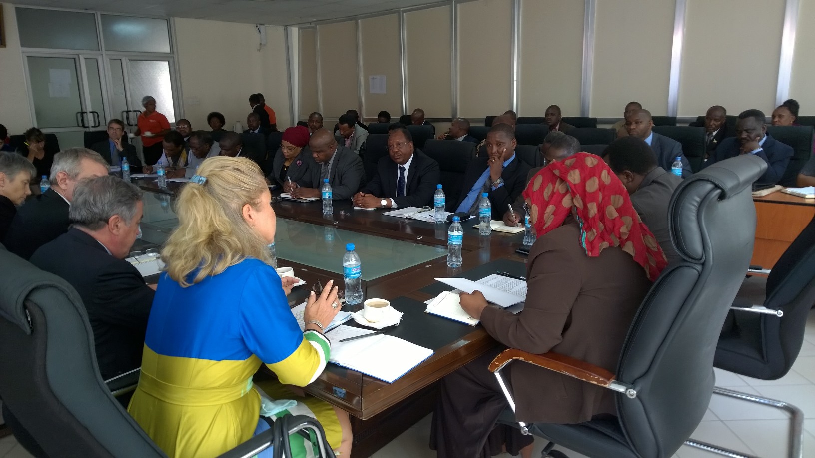 Budjettitukiavunantajien ja Tansanian hallituksen välinen korkean tason vuoropuhelu maaliskuussa 2015 Tansanian valtiovarainministerin johdolla