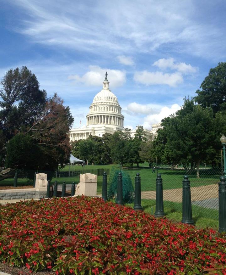 U.S. Capitol Yhdysvaltain kongressin rakennus, jossa kokoontuvat edustajainhuoneen ja senaatin jäsenet.